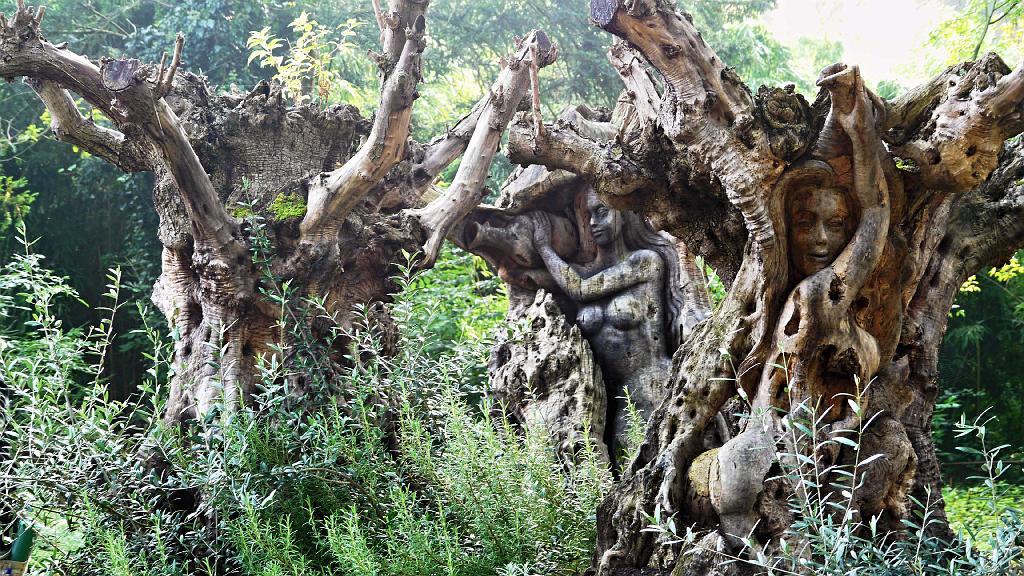 P1000011_houtsculpturen, die zelfs terug te vinden zijn op enkele dode Europese bomen.JPG